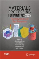 Alexandra Anderson, Chukwunwike Iloeje, Chukwunwike Iloeje et al, Adamantia Lazou, Kayla M. Molnar, Adrian S Sabau... - Materials Processing Fundamentals 2025