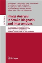 Ezequiel de la Rosa, Ewout Heylen, Richard McKinley, Leonhard Rist, Leonhard Rist et al, Danny Ruijters... - Image Analysis in Stroke Diagnosis and Interventions