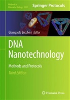 Giampaolo Zuccheri - DNA Nanotechnology