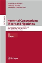Annabella Astorino, Dmitri E Kvasov, Dmitri E. Kvasov, Yaroslav D. Sergeyev - Numerical Computations: Theory and Algorithms