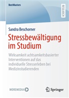 Sandra Beschorner - Stressbewältigung im Studium