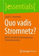 Jacob Linnemann, Jacob F Linnemann, Jacob F. Linnemann - Quo vadis Stromnetz?