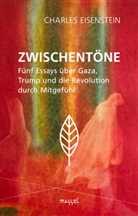 Charles Eisenstein - Zwischentöne