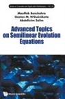 Mouffak Benchohra, Benchohra Mouffak, Gaston Mandata N'guerekata, Gaston M n'Guerekata Mouffak Benchohra, Gaston Mandata N'Guerekata, Abdelkrim Salim - Advanced Topics On Semilinear Evolution Equations