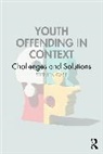 Stephen (Loughborough University Case, Case Stephen - Youth Offending in Context
