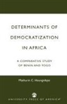 Mathurin C. Houngnikpo, Houngnikpo Mathurin C. - Determinants of Democratization in Africa