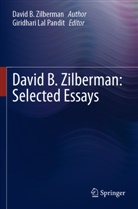 David B Zilberman, David B. Zilberman, Giridhari Lal Pandit - David B. Zilberman: Selected Essays