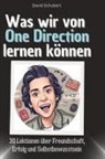 David Schubert - Was wir von One Direction lernen können