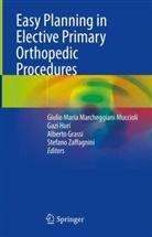 Alberto Grassi, Alberto Grassi et al, Gazi Huri, Giulio Maria Marcheggiani Muccioli, Stefano Zaffagnini - Easy Planning in Elective Primary Orthopedic Procedures