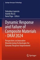 Valentina Lopresto, Ilaria Papa, Aniello Riccio - Dynamic Response and Failure of Composite Materials - DRAF 2024