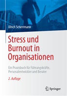Ulrich Scherrmann - Stress und Burnout in Organisationen