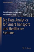 Ali Cheshmehzangi, Saeid Pourroostaei Ardakani - Big Data Analytics for Smart Transport and Healthcare Systems