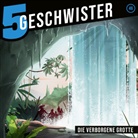 Tobias Schier, Tobias Schuffenhauer - Die verborgene Grotte - Folge 46 (Audio book)