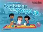 Gabriela Zapiain - Cambridge Little Steps Level 2 Activity Book