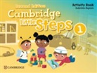 Gabriela Zapiain - Cambridge Little Steps Level 1 Activity Book
