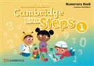 Lorena Peimbert, Peimbert Lorena - Cambridge Little Steps Level 1 Numeracy Book