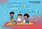 Lorena Peimbert, Peimbert Lorena - Cambridge Little Steps Level 2 Numeracy Book