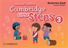 Lorena Peimbert, Peimbert Lorena - Cambridge Little Steps Level 3 Numeracy Book