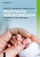 Joachim W Dudenhausen, Joachim W. Dudenhausen, Wolfgang Henrich, Pschyremb - Praktische Geburtsmedizin