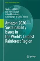 Gabriel Brito Costa et al, Gabriel Brito Costa, Walter Leal Filho, Walter Leal Filho, Ismar Borges de Lima, Laís Viera Trevisan... - Amazon 2030 - Sustainability Issues in the World's Largest Rainforest Region