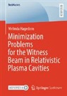 Melinda Hagedorn - Minimization Problems for the Witness Beam in Relativistic Plasma Cavities