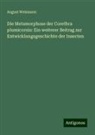 August Weismann - Die Metamorphose der Corethra plumicornis: Ein weiterer Beitrag zur Entwicklungsgeschichte der Insecten