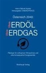 Heinz Gabriel Kopetz - Österreich 2040: Ohne Erdöl und Erdgas