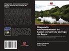 André Rosa, Pedro Tersariol - Diagnostic environnemental du bassin versant du Córrego do Bugre