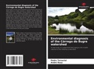 André Rosa, Pedro Tersariol - Environmental diagnosis of the Córrego do Bugre watershed