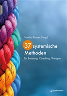 Sandra Brauer - 37 systemische Methoden, m. 1 Beilage