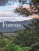Kieron Connolly - Forests