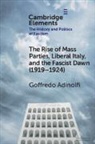 Goffredo Adinolfi, Goffredo (Instituto Universitario De Lis Adinolfi - Rise of Mass Parties, Liberal Italy, and the Fascist Dawn (19191924)