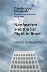 Odilon Caldeira Neto, Odilon (Federal University of Juiz Caldeira Neto - Neo-Fascism and the Far Right in Brazil