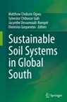 Jacynthe Dessureault-Rompré, Dionisios Gasparatos, Sylvester Chibueze Izah, Matthew Chidozie Ogwu - Sustainable Soil Systems in Global South