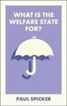 Paul Spicker, Paul (Robert Gordon University) Spicker - What Is the Welfare State For?