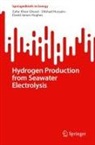 Zafar Khan Ghouri, David James Hughes, Dilshad Hussain - Hydrogen Production from Seawater Electrolysis