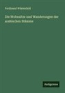 Ferdinand Wüstenfeld - Die Wohnsitze und Wanderungen der arabischen Stämme
