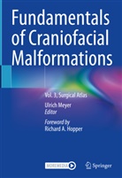 Ulrich Meyer - Fundamentals of Craniofacial Malformations