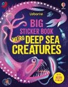 Alice James, James Alice, Amanda Shufflebotham - Big Sticker Book Weird Deep Sea Creatures