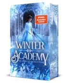 Karolyn Ciseau - Winter Academy. Die Erbin des Mondsteins