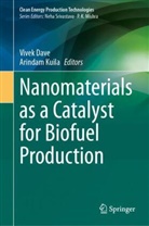 Vivek Dave, Kuila, Arindam Kuila - Nanomaterials as a Catalyst for Biofuel Production