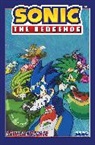 Aaron Hammerstrom, Min Ho Kim, Evan Stanley - Sonic the Hedgehog, Vol. 19: Collision Course