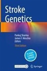 F Meschia, James F. Meschia, Pankaj Sharma - Stroke Genetics