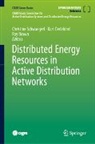 Ray Brown, Kurt Dedekind, Joos, Geza Joos, Christine Schwaegerl, Christine Schwagerl - Distributed Energy Resources in Active Distribution Networks