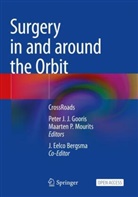 J.Eelco Bergsma, J Eelco Bergsma, Peter J.J. Gooris, Maarten P. Mourits, Maarten P Mourits - Surgery in and around the Orbit