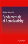 Massimo Gennaretti - Fundamentals of Aeroelasticity