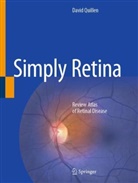 David Quillen - Simply Retina