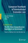 Chen, I-Ju Chen, Alexandr Svetlicinii - The EU-China Comprehensive Agreement on Investment