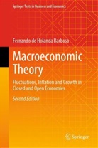 Antônio de Lima Junio, Luiz Antônio de Lima Junior, Fernando de Holanda Barbosa - Macroeconomic Theory