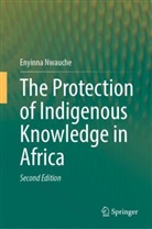 Enyinna Nwauche - The Protection of Indigenous Knowledge in Africa